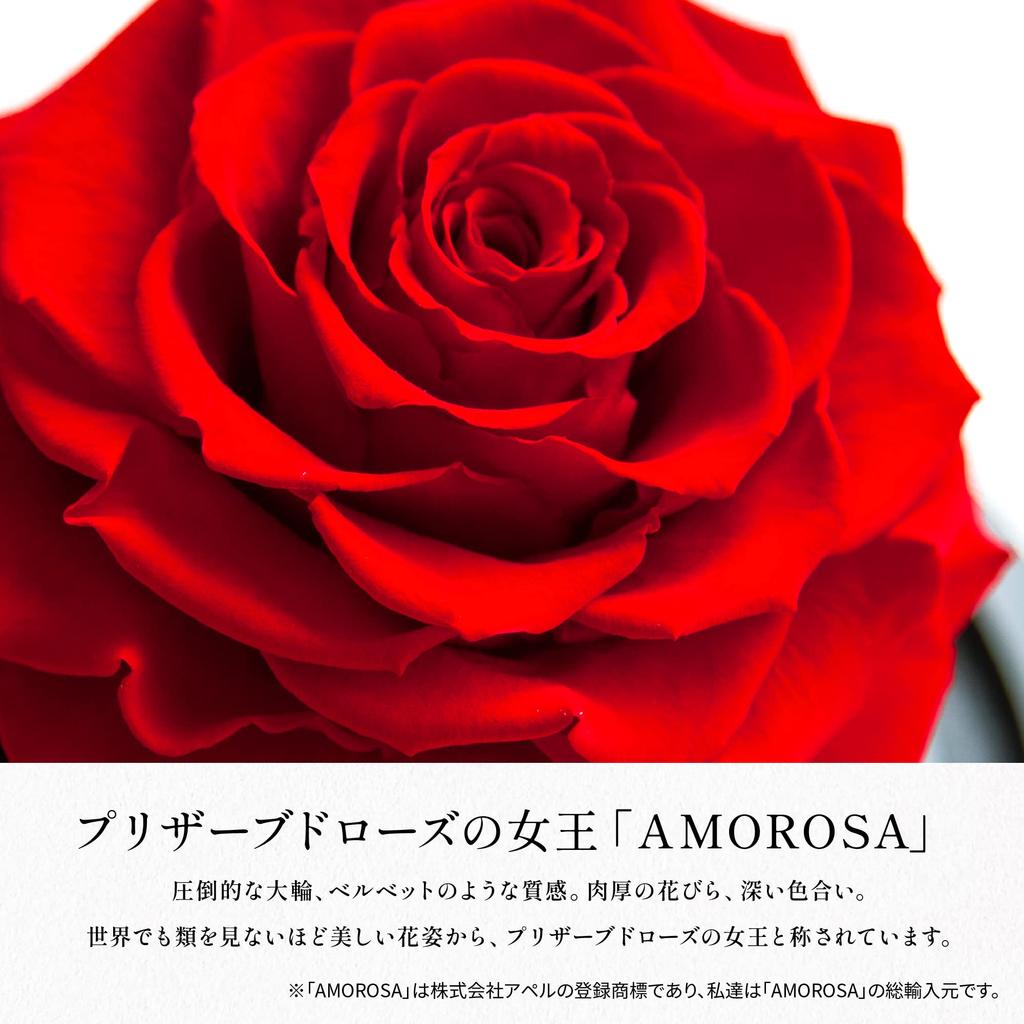Amorosa Modernный Стабилизированный Цветок Роза Судьбы Ярко-Красный (Один стебель)
