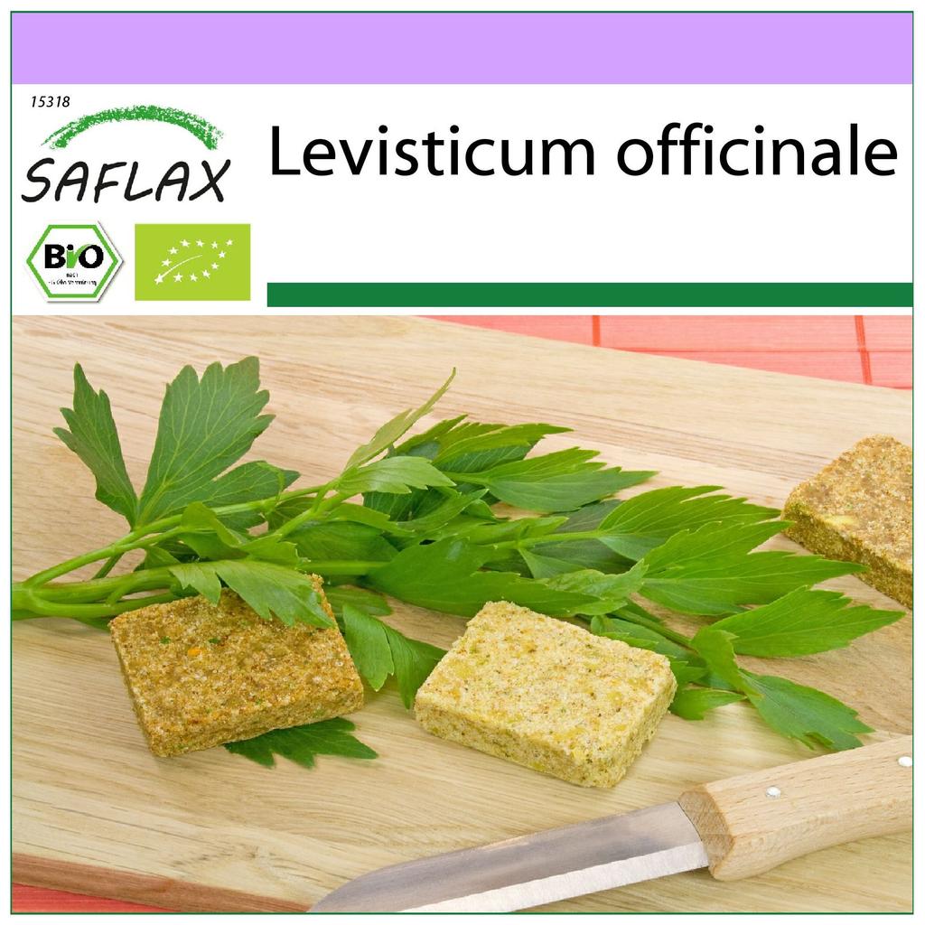 SAFLAX Organic - Любисток - 100 семян - Levisticum officinale