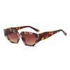 New European and American Internet celebrities cat eye sunglasses women irregular personality trendy sunglasses party small frame glasses