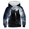Autumn 3D Cat Pattern Printed Top Fashionable Casual Long Sleeved Children's Boy Hoodies