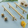 Beautiful Brass Cabinet Handle Light Luxury Long Handle New Drawer Pulls  Shoe Cabinet