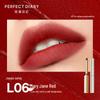 PERFECT DIARY Little Fine Heel Velvet Slim Lipstick