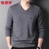 Hengyuanxiang Men's 100% Pure Wool V-Neck Sweater HJ198