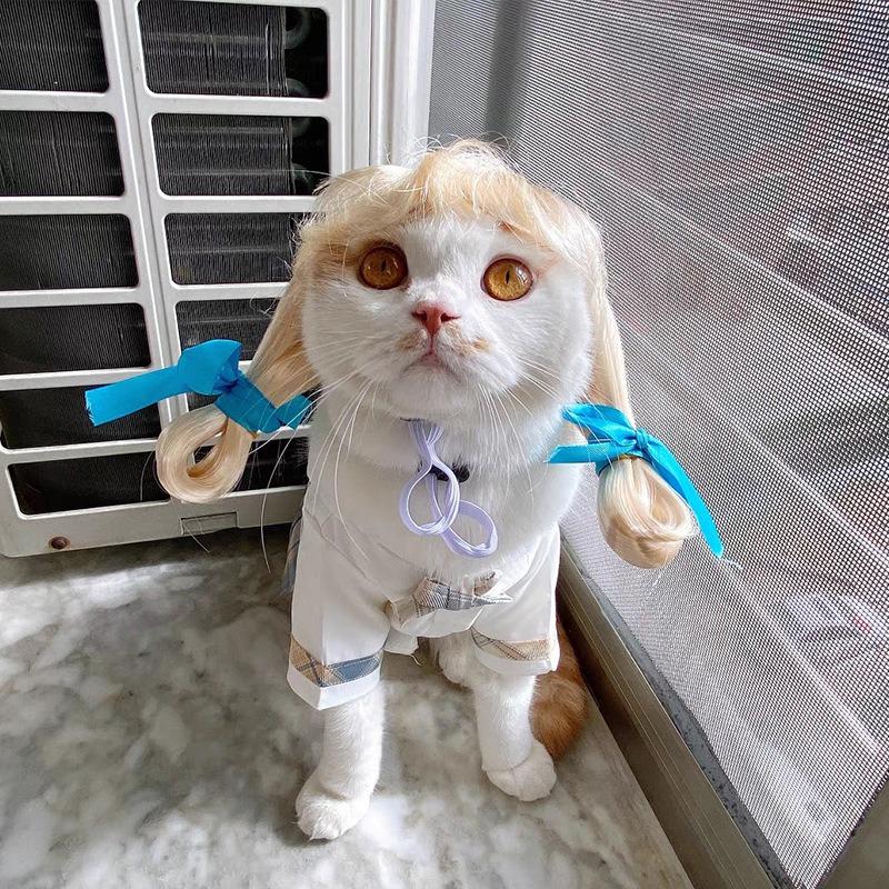 Dogs Cats Headdress Funny Pet Wigs Bangs Exploding Head Braids Straight Hair Nylon Fibre Material Halloween Pet Accessories