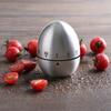 Cute Stainless Steel Egg Shaped Mechanical Visual Countdown Reminder Alarm Clock Kitchen Timer