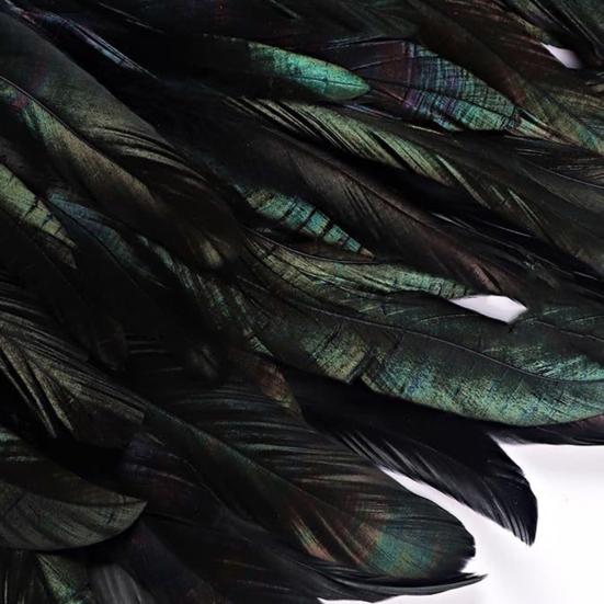 Женская черная накидка-шаль из перьев, готический пелерин-болеро из перьев, пончо с воротником, костюм ведьмы для косплея на Хэллоуин, карнавал