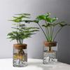 Thickened Hydroponic Flower Holder Glass Flower Pot Mountain Viewing Bottle  Dried Flower