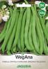Jagusia Dwarf Common Beans 40g Bean Seeds -