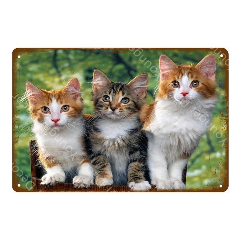 Предупреждение: Остерегайтесь черной кошки, знаки домашних животных, металлический плакат с изображением животных, винтажная тарелка для настенного искусства, ретро, ​​декор для дома, комнаты, 30X20 см, YJ139