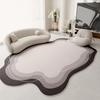 Nordic Style Cloakroom Rug Irregular Shape Plush Floor Mat Fluffy Soft Rugs for Bedroom Minimalist Living Room Decoration Carpet