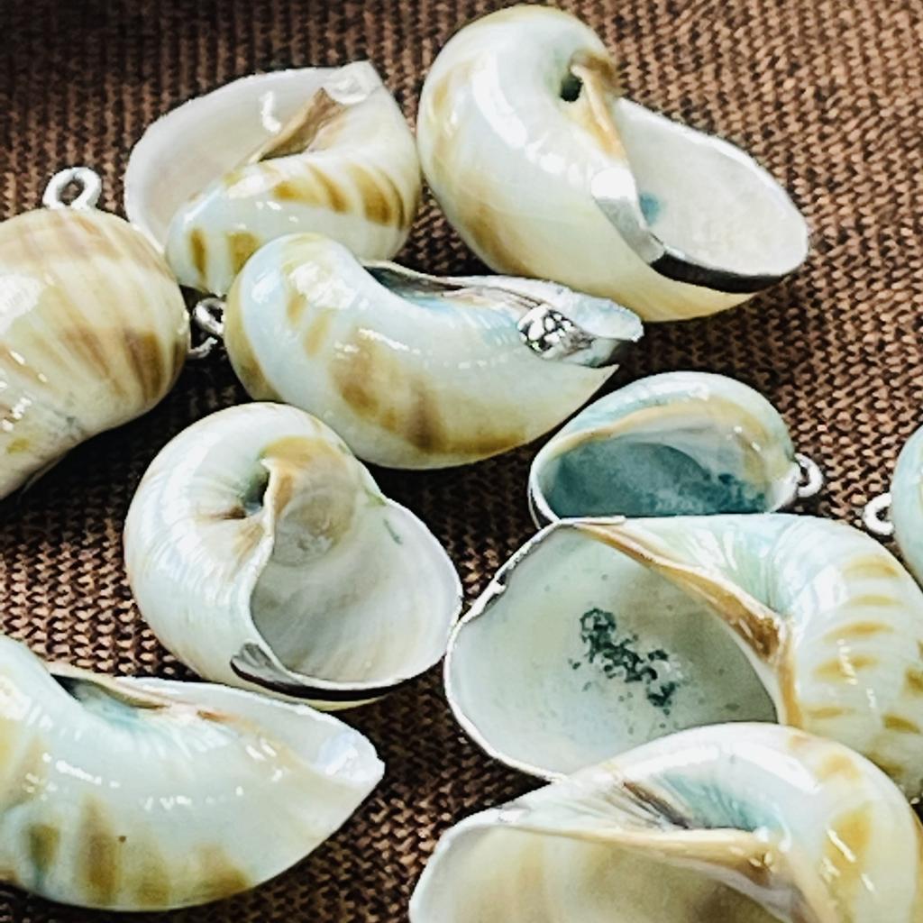 10 шт., Натуральные раковины улиток, подвески-шармы с серебристым краем из цинкового сплава для DIY аксессуаров для ожерелий, креативное изготовление ювелирных изделий, женские мужские подарочные поделки оптом