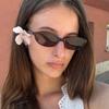 Vintage Small Oval Sunglasses Women New Fashion Elegant Gradient Sun Glasses Ladies Hipster sexy Cat Eye Shades uv400