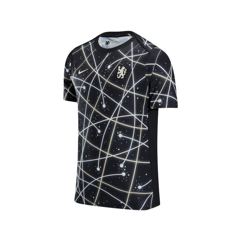 Nike Мужская футболка с коротким рукавом Nike Dri-FIT для предматчевых тренировок Академии ФК «Челси» Pro IF3967-010