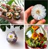 8 Pc Silicone Resin Spherical Molds Seamless 3D Epoxy Resin Spherical Molds Large Spherical Resin Molds for Preservation White