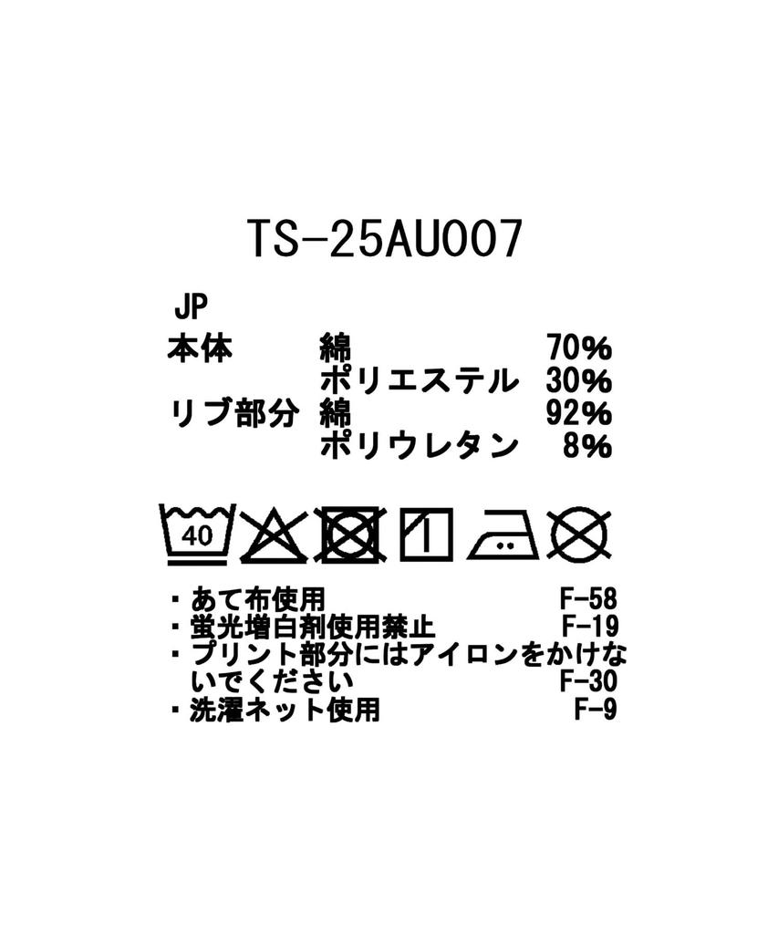 Snow Peak Typography Short and Size L L/S T-Shirt TS-25AU007, Sleeve, Men's Women's, Beige,