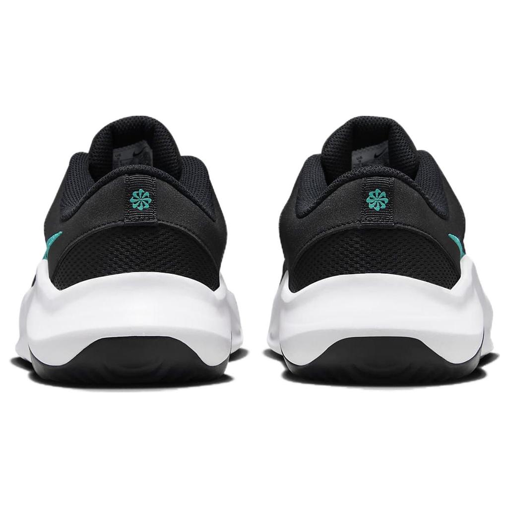 Nike Legend Essential 3 Next Nature 'Черный Прозрачный Нефрит' DM1120-009