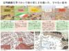A Travel Picture Central Europe Edition Picture Book by Mitsumasa Book (A Anno)