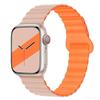 Двухцветный силиконовый магнитный ремешок для часов Apple 8910 Gen, 42 мм и 46 мм