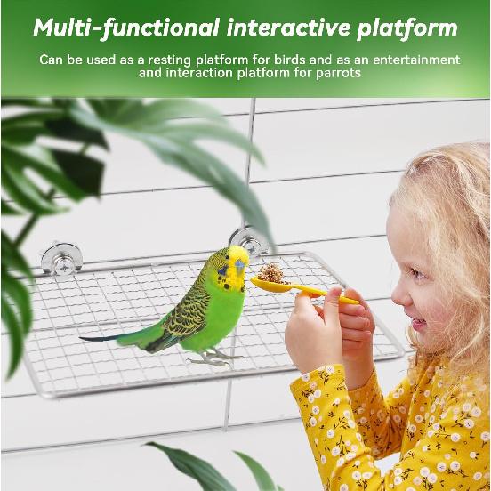 Platform Perch for Parrots,7.87 x 5.90 Inch Bird Flat Perches Stainless Steel Budgie Stand Shelf Rectangle Anti-Chewing Bird Cage Accessories for