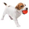 PLATZ ПЕТ САПЛАЙСЕС ФАН Игрушка для собак Favo Пищащий мяч Синий &