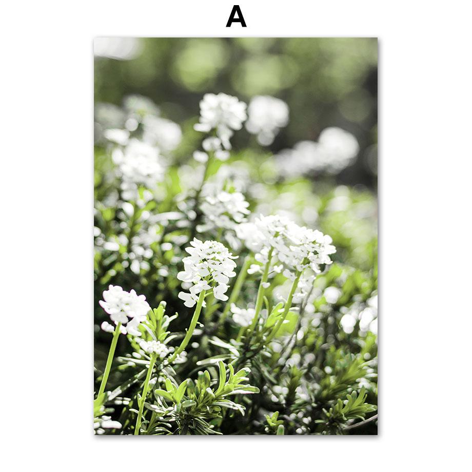 Зеленый лист лодка цветок лес горы водопад плакаты и принты холст живопись настенные художественные фотографии для декора гостиной