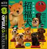 Capsule Q Kunio Lucky Dogs Set of Museum Sato's [Complete 5]