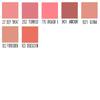 NARS Blush N Cheek 252 TORRID 4.8g [предмет]