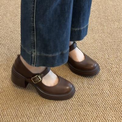 Версия из овчины~ тупоносые туфли Мэри Джейн на высоком каблуке, женские кожаные туфли с ремешком, туфли-лодочки, туфли на толстом каблуке, ретро маленькие кожаные туфли