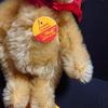 [USED] Excellent condition vintage Steiff teddy bear, German mohair