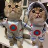 Костюм для питомца, скафандр астронавта, смешной костюм для Хэллоуина в форме курьера для питомца, комбинезон для кошки