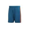 Спортивные шорты мужские Tribal Blue умеренные BR2711