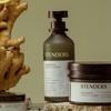 STENDERS Ginger Lemon Shower Gel