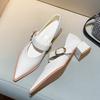 Fashion Designer Vintage Pointed Toe Women Mary Jane Shoes Fashion Shallow Buckle Shoes Spring Ladies Elegant Dress Thick Heel Shoes