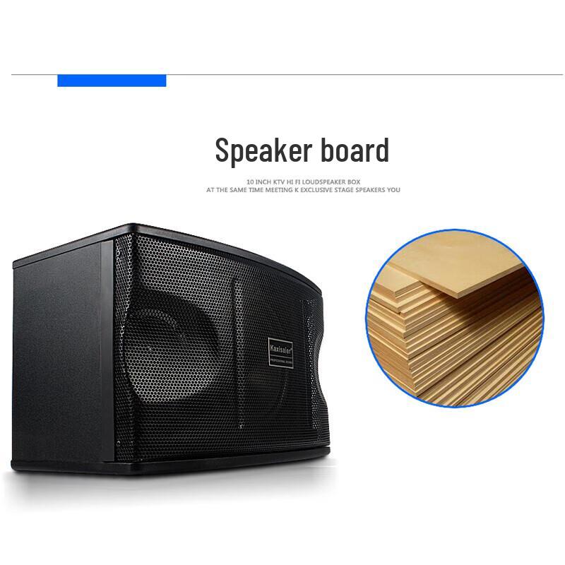 KAXISAIER 10-inch Professional KTV Karaoke Speaker CN plug (adapter included)