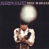 LP Record LITTLE STEVEN - Voice Of America B003203101 Wicked Cool Rec 2020 US Rock