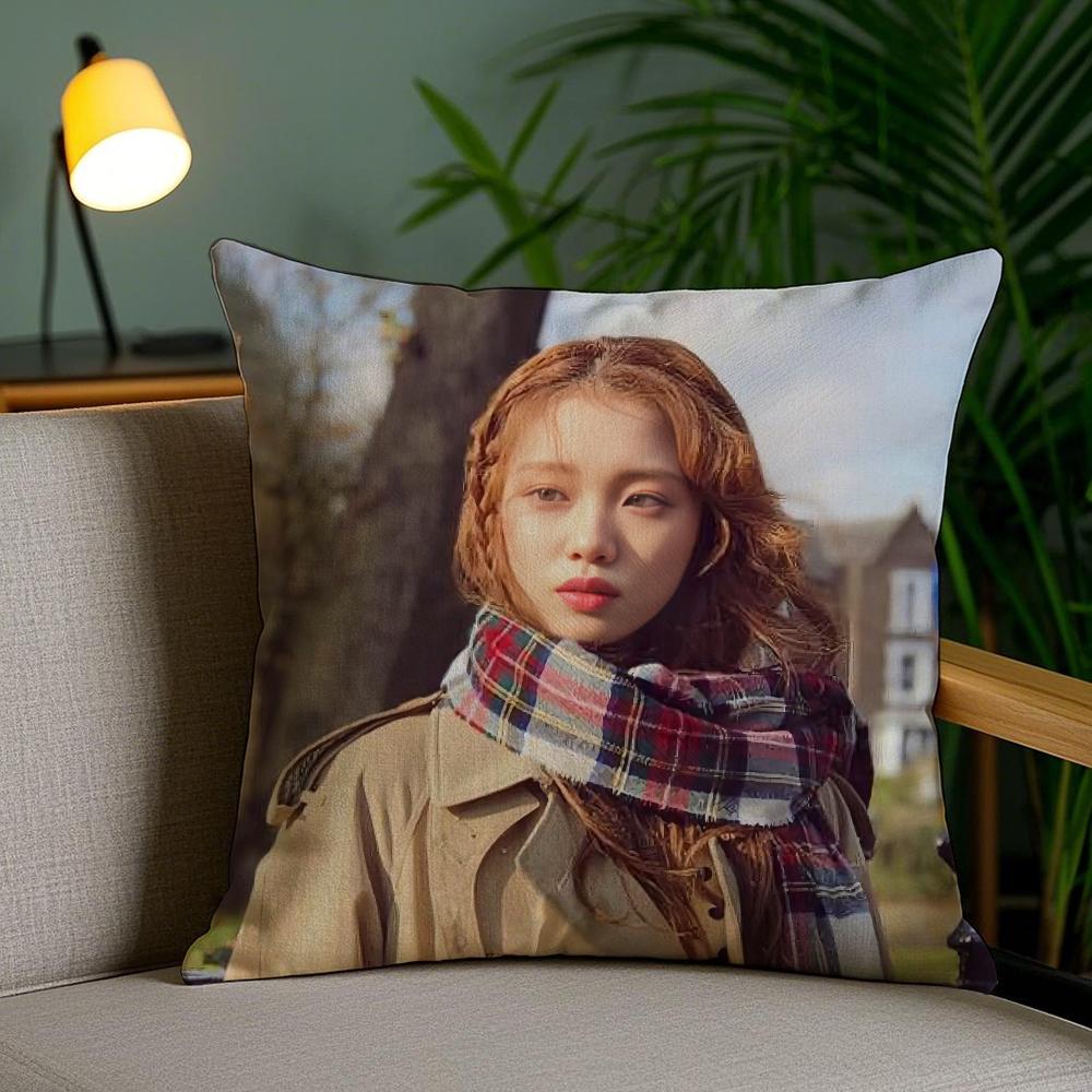 SSungkyung LLee АКТЕР Наволочка Шелковистая Элегантный Комфорт Диван-кровать Невидимая Молния