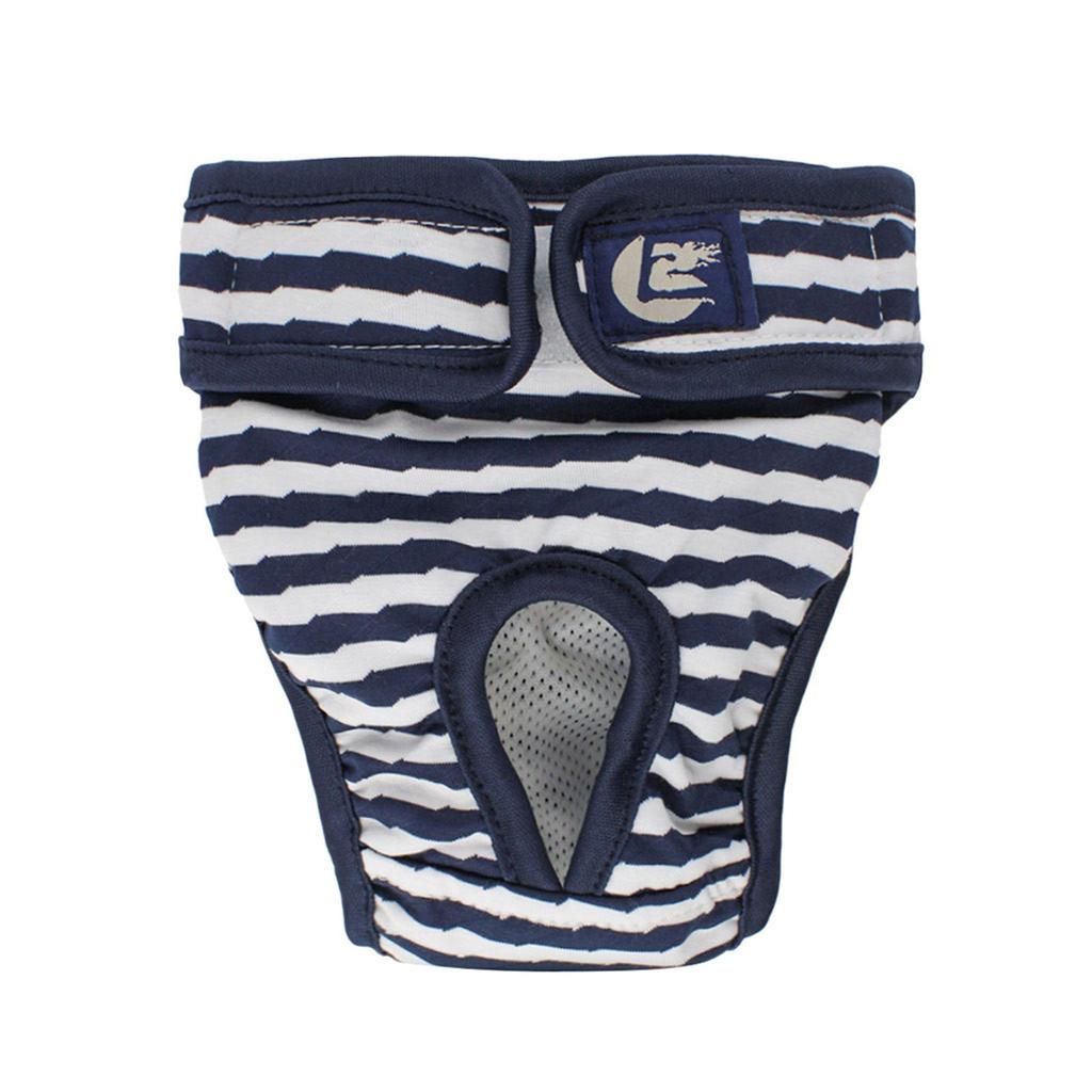 Физиология здоровья домашних собак, менструальные физиологические и санитарные брюки