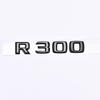 Подходит для Mercedes R300-R500: автомобильные наклейки, эмблемы, текстовые обозначения, тюнинг, задние логотипы, и обозначения объема двигателя.