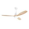 USA in Stock European Ceiling Fan 52 Inch 3 Blade Modern Smart Ceiling Fan With Led Light and Remote Control