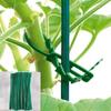 30pcs Plastic Cable Ties Adjustable Multi-Purpose Plant Dedicated Fastener Reusable Cable Ties Organizer for Plant Vine Support