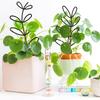 Honeycomb Trellis 2/4Pc Sturdy Plastic Support for Indoor Potted Climbing Plants