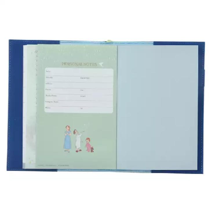 Disney Питер Пэн Планировщик Расписание Книга, B6, Тисненый 2026 Япония НОВЫЙ Магазин Дисней