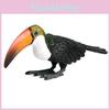 Wild Animal Big Billed Bird Ramphastos Toco Model For Kids Educational Toys