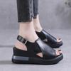 Thick-soled Wedge Sandals Women's 2025 New Summer High-heeled Fish Mouth Women's Shoes Muffin Shoes Women