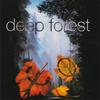 CD DEEP FOREST  Boheme COL4786232 Columbia 1995 Франция Танцевальная Электроника Б/у