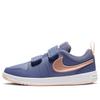 Nike Кроссовки для скейтбординга Pico 5 Low top Детские Сине-розовые Дети Возраст 3-7 Лет AR4161-401