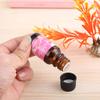 New 10ml Plant Essential Oil Water Soluble for Car Home Air Humidifier Freshener Sales Promotion