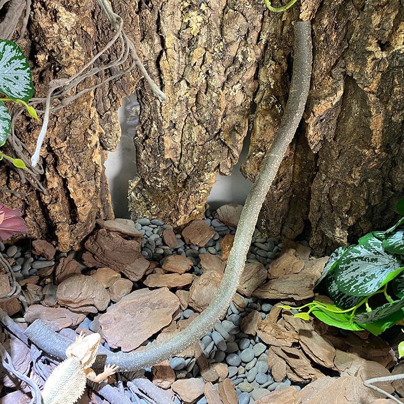 1M Искусственные лианы для рептилий Гибкие изгибаемые Джунгли Лазание Поддельные ротанговые растения Для ящериц Террариум Клетка Питомник Декор