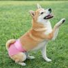 Breathable Mesh Dogs Diaper High-Absorbency Dog Underwear Pet Physiological Pants  Anti-Harassment