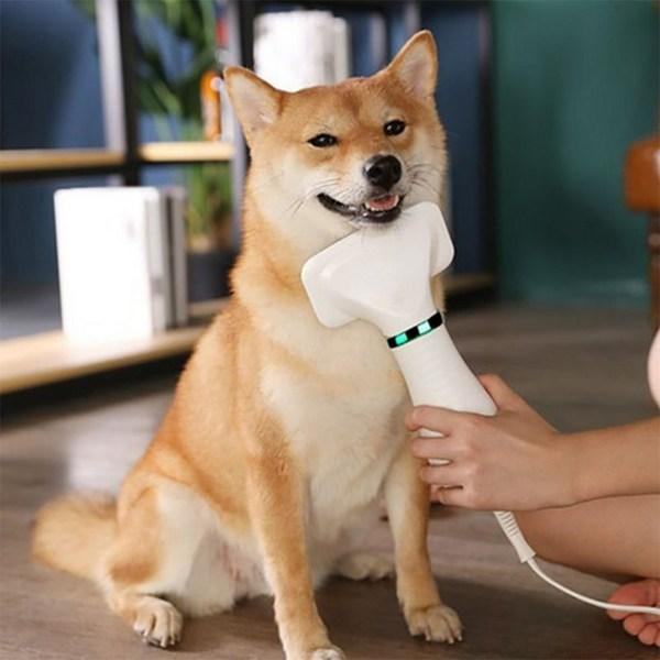 Аэрограф Garrl Pet, расческа-сушилка для волос, низкая интенсивность шума, регулируемая постоянная температура, быстросохнущий ручной, корейский шампунь для домашних животных